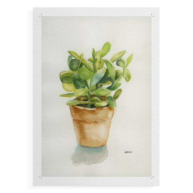 Succulent I - Impression sur toile seulement - NON CADRE, H 18 po x l 12 po