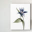 « xray tulip vii », peinture sur toile tendue-1845229728