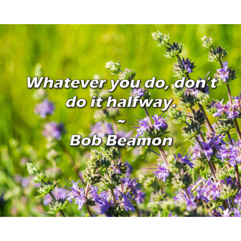 Citation de Bob Beamon: Quoi que vous fassiez, ne le faites pas à mi-chemin., H 15 po x l 18 po
