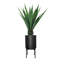 Plante de 63,5 po en forme de serpent