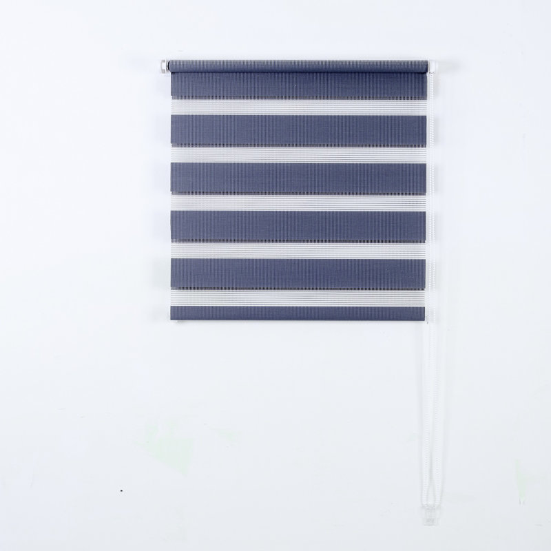 Dual Layer Day & Night Zebra Roller Blinds – Premium Light Filtering & Privacy Window Shades, Modern Sheer & Solid Fabric Blinds for Living Room, Bedroom & Office