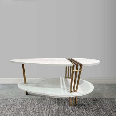 36 Inch Modern Coffee Table, Oval Elliptical Shape Mango Wood With Brass