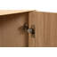 1 - Door Rectangle Accent Cabinet