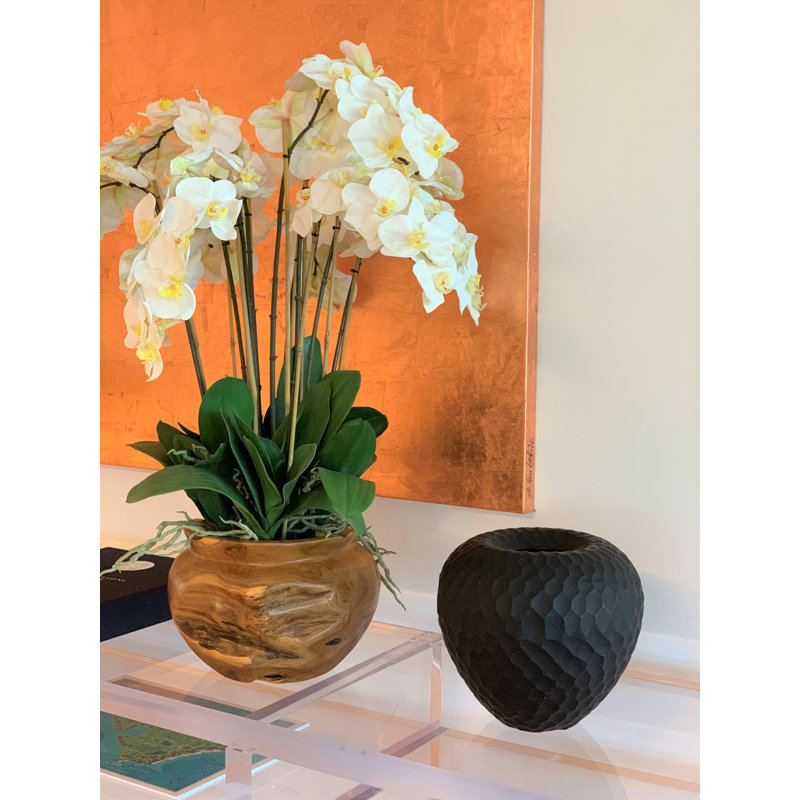 Orchid Floral Arrangement in Planter