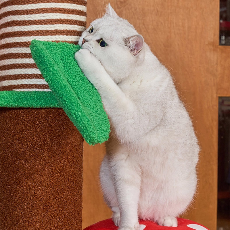 5 Tiers Cat Tree with Condons,Perch,Scratching Posts