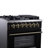 Massimo 30 in. Dual Fuel Range-116499866