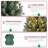 3' Lighted Pine Christmas Tree