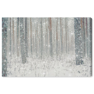 " Nature And Landscape Winter Wonderland, Modern & Contemporary Gray " by Oliver Gal