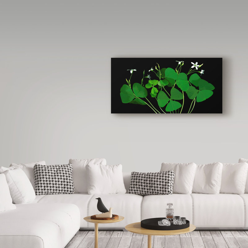 «Shamrocks» par Dosta, impression sur toile tendue, H 24 po x l 47 po x P 2 po