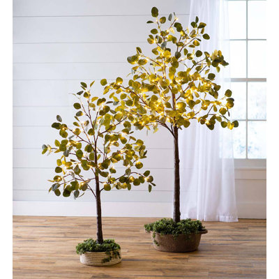 Petit arbre d'eucalyptus artificiel éclairé de 50 po