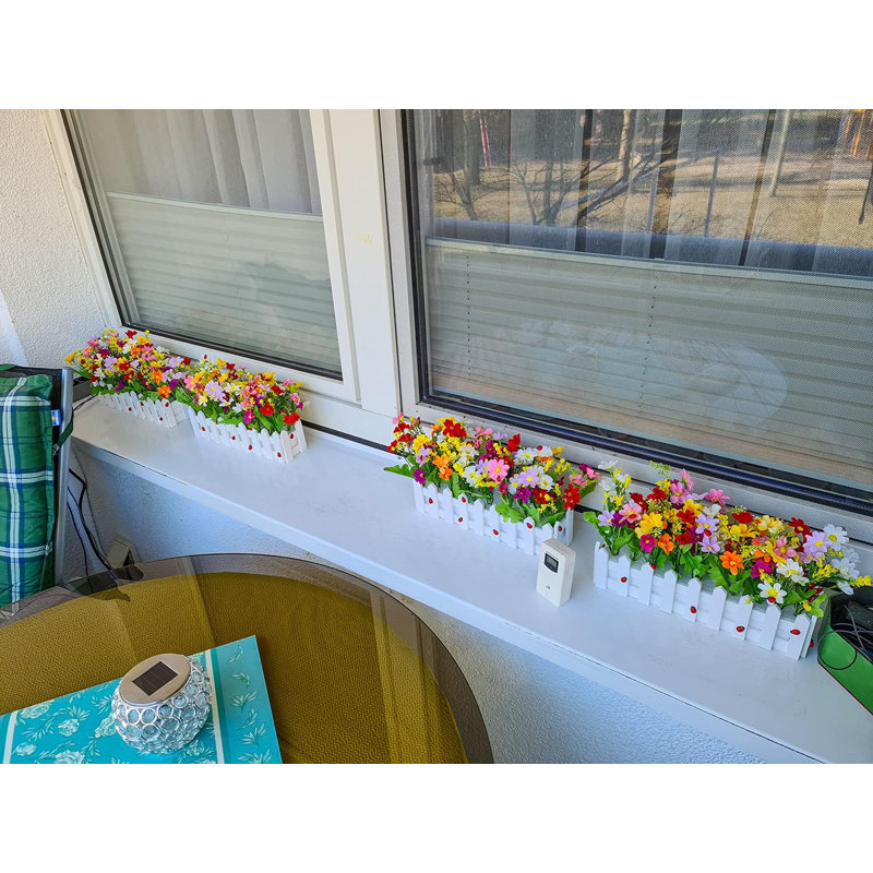 Arrangement de marguerites en pot