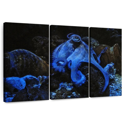 Pieuvre bleue stoïque
