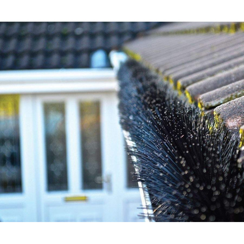 Farrelly Roof Accessory