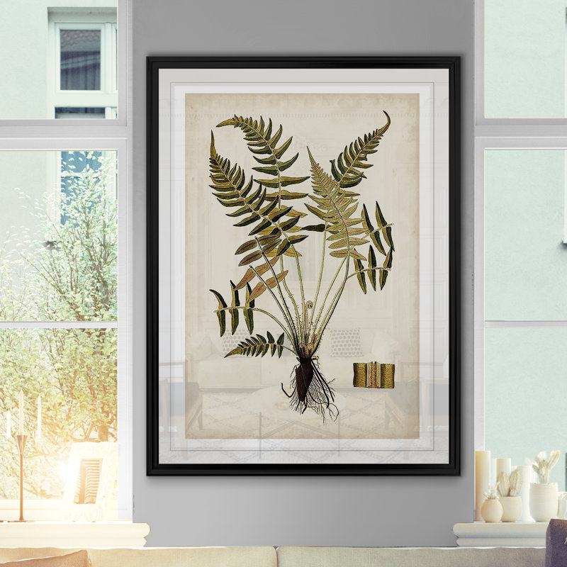 « palm botanique iv »-impression sur toile, H 26,5 po x l 36,5 po x P 1,5 po, Cadre noir