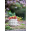 Ensemble de 2 pots à fleurs Mosley-1629223542