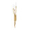 AMALTHEA Wall Sconce