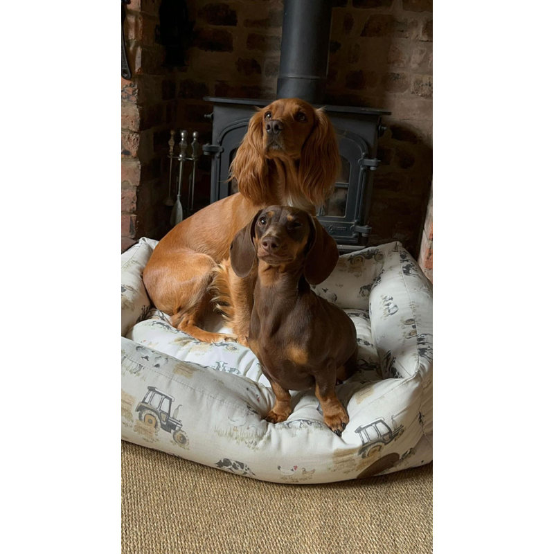 Orleans Animal Print Polyester Pet Bed, 13cm H x 43cm W x 33cm D