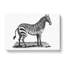 Zebra in Black and White by George Shaw - Wrapped Canvas Drawing - Wrapped Canvas-55320214
