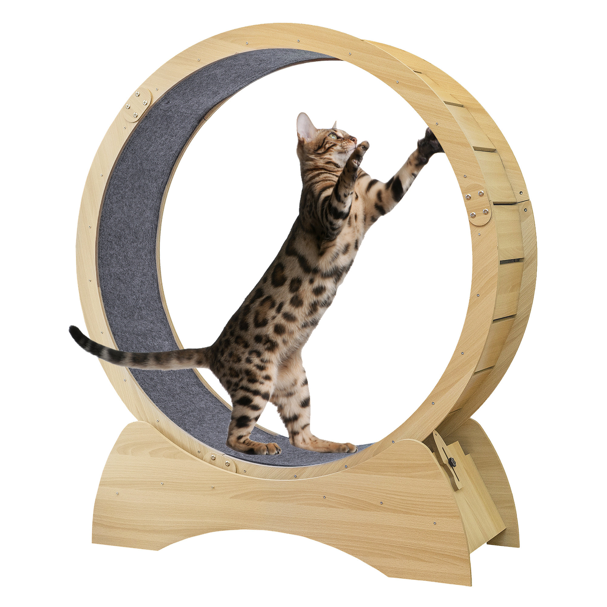 Tucker Murphy Pet™ Conine Cat Perch & Reviews | Wayfair