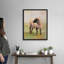 «Away From The Flock II», art mural sur toile-301792477-301792474