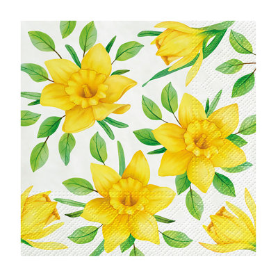 Serviettes de table jetables en papier