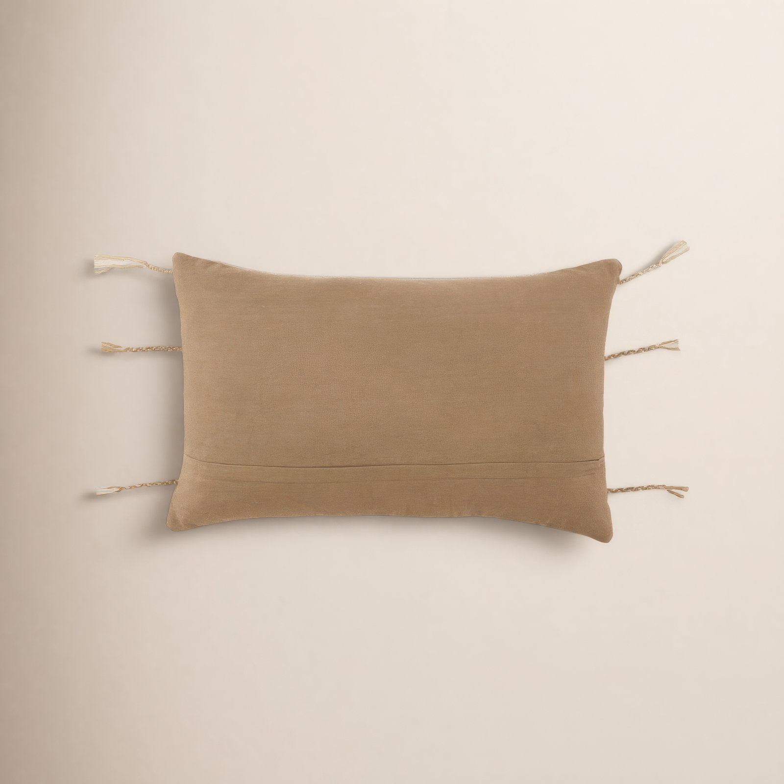 Torres Tassels Cotton Lumbar Throw Pillow, Pillow Cover Only - No Insert