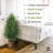 CAPHAUS Artificial Cedar Tree Pair, UV Resistant Boxwood Topiary w/ Dried Moss, 3 / 4 / 5 Feet-98582124