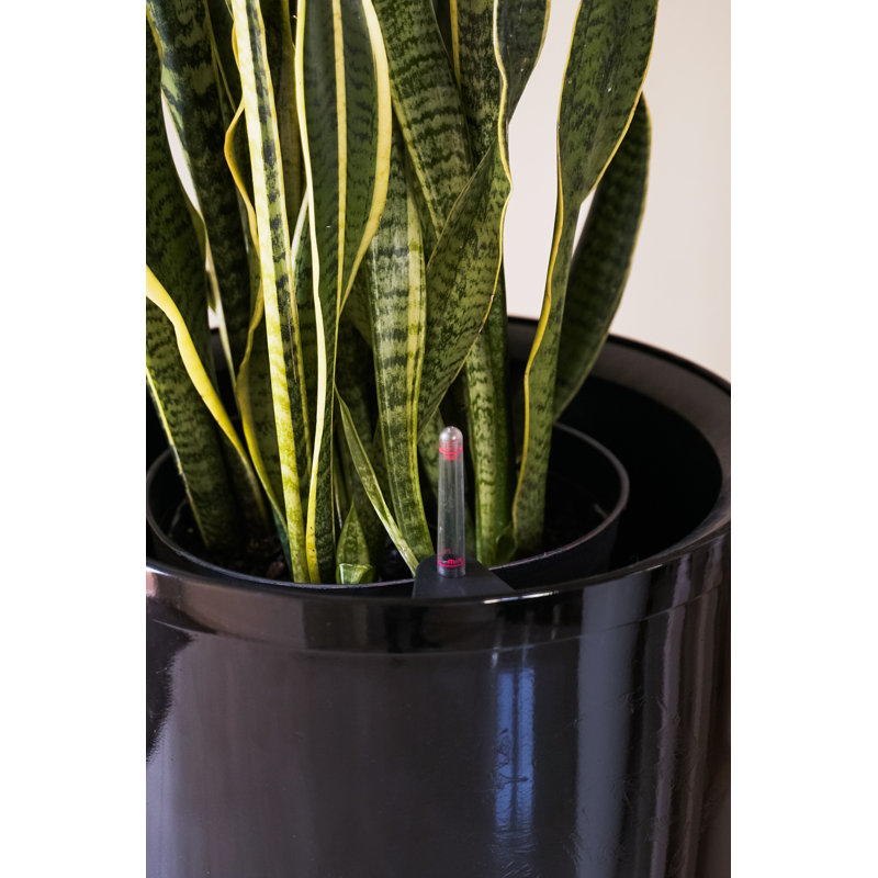 Self-Watering Pot Planter, Black