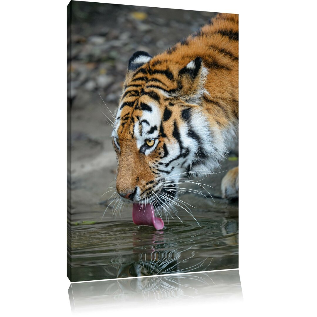 Leinwandbild Tiger am Wasser