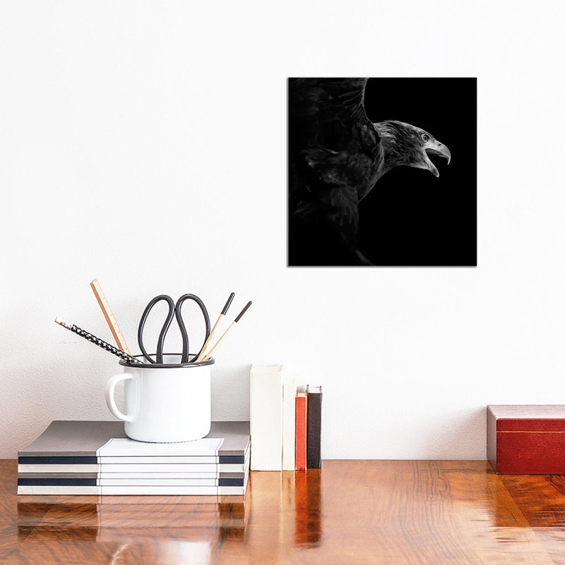 Eagle In Black And White by Lukas Holas - Wrapped Canvas Print, 30.48 cm H x 30.48 cm W