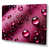 Wrapped Canvas