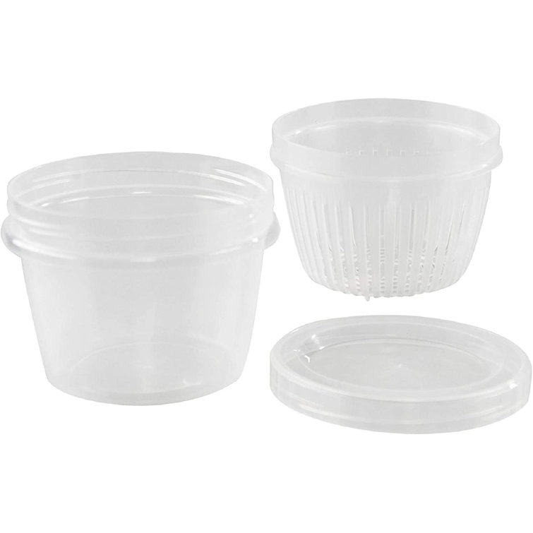 https://assets.wfcdn.com/im/69749356/resize-h755-w755%5Ecompr-r85/2160/216050230/Clear+Plastic+Storage+Container+With+Removable+Strainer+And+Lid%2C+Small+Food+Storage+Container.jpg