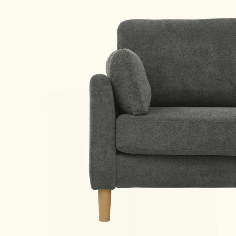 Modern Minimalist 2-Seater Sofa, Gray