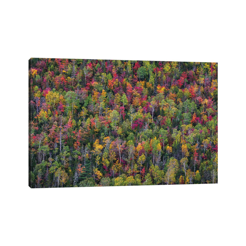 Colour Palette 1 Piece Wrapped Canvas Wall Art, 66.04 cm H x 45.72 cm W x 3.175 cm D