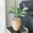Mckee Pot Planter-203467089
