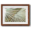 Suave Fronds - impression d'un seul cadre photo-1227837937-1227837948