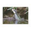 Wall Art on Canvas-1137801982