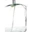 Mila Glass Table Lamp-102693829