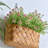 Wall-Mounted Artificial Flower
