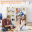80.3cm H x 94.8cm W Book Display Bookcase-485634236