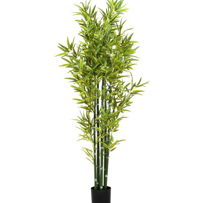 Of 2, 72 - Inch Artificial With Pot, Lifelike Long Leaves And Slender Stems, Pre Potted For Kitchen Decor, , Color, 42 Inch Depth, Tall, 9.78 Lbs, Eas