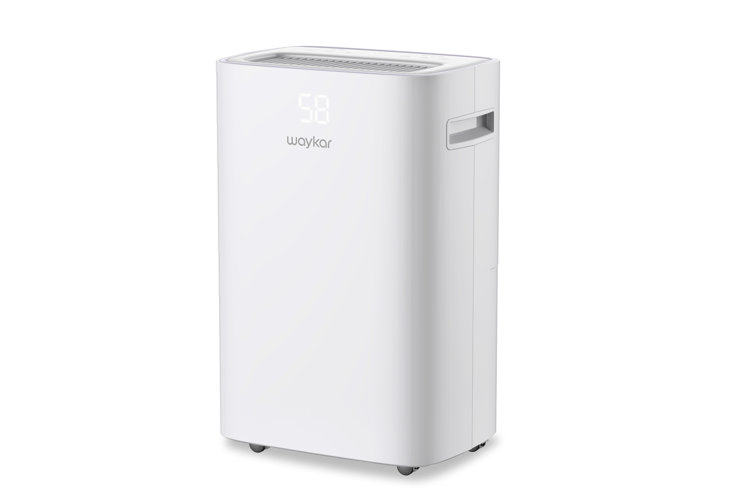 best dehumidifier