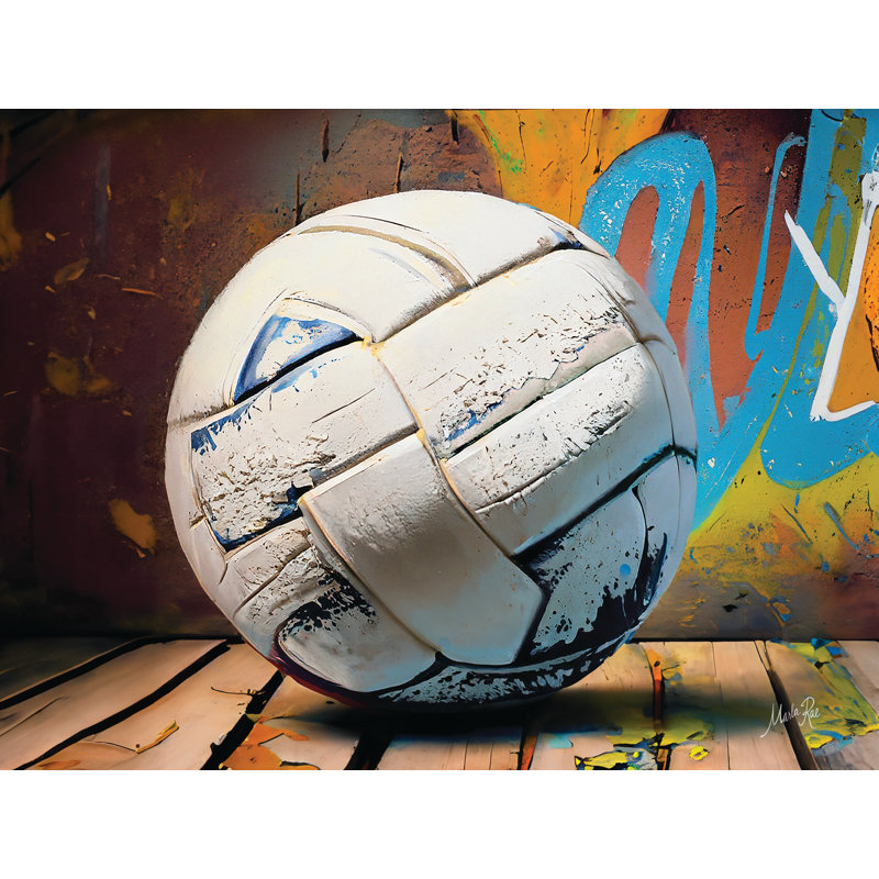 Graffiti Volleyball par Marla Rae, H 20 po x l 30 po