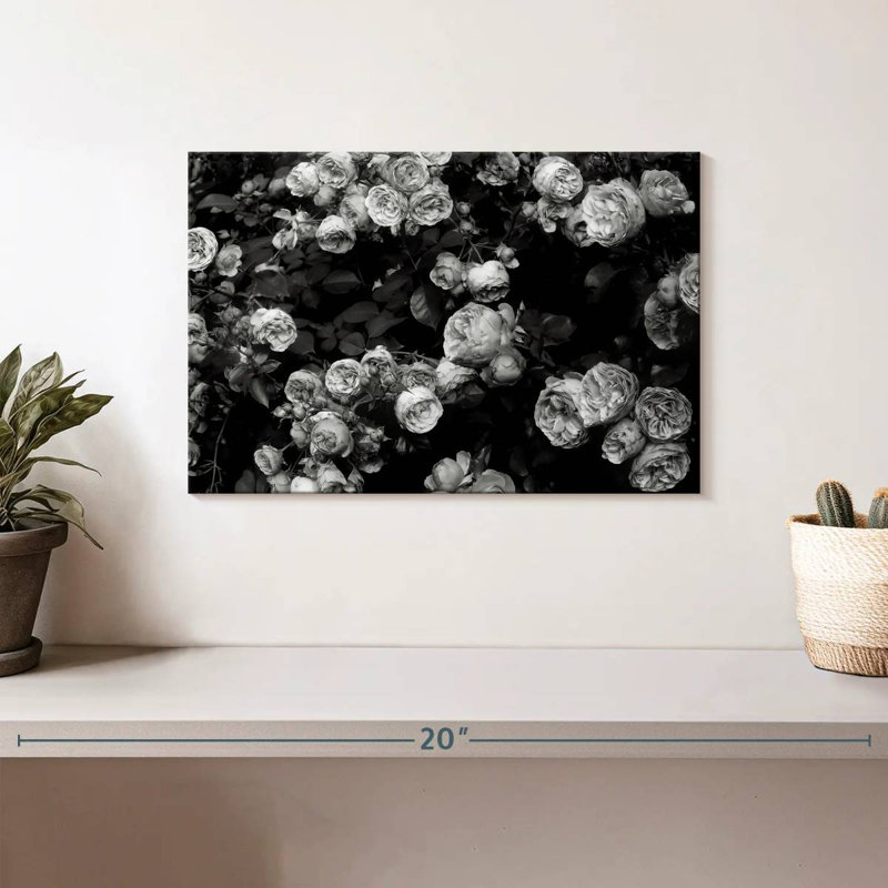 Harnek Roses BW, 8" H x 12" W