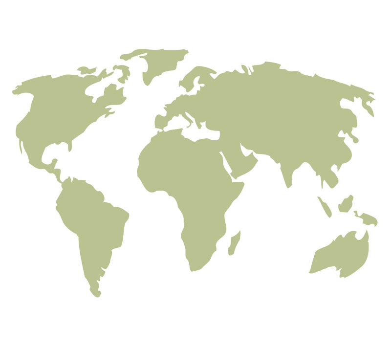 Décalcomanie murale carte du monde, H 22 po x l 32 po x P 0,01 po, Céladon