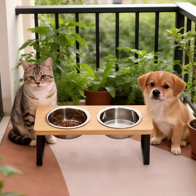 Elevated Cat Bowl Stand Pet Feeder for Cats and Small Dogs
