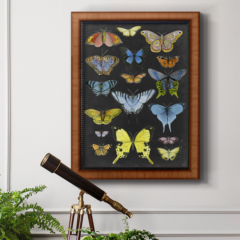 Toile encadrée de qualité graphique avec papillons taxonomiques II - prête à être accrochée, H 27 po x l 18 po x P 2,5 po