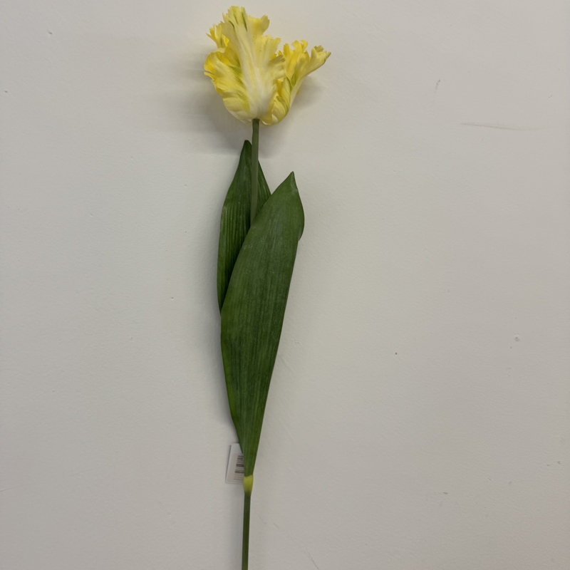 Jet de soie tulipe flamme de soie, Jaune