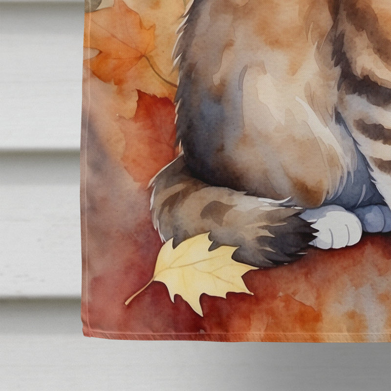 Chat en feuilles d'automne, Ragamuffin