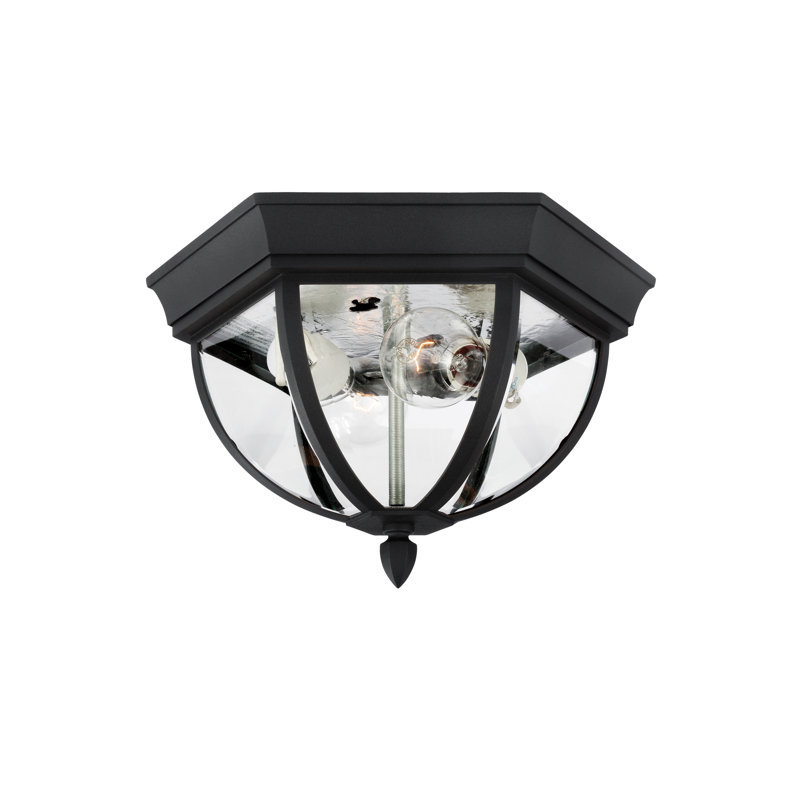 Wynfield Two Light Outdoor Ceiling Flush Mount from Generation Lighting , Black, Incandescent, Clear